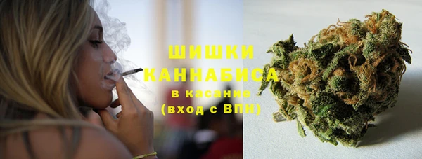 спиды Каменка