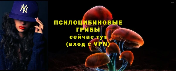 спиды Каменка