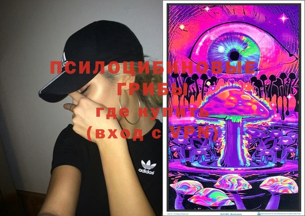 спиды Каменка