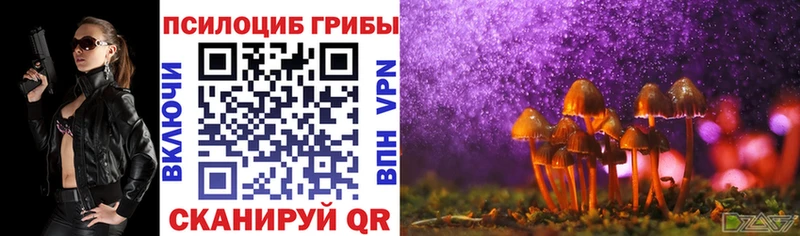 Купить где  Сысерть  Псилоцибиновые грибы мухоморы 